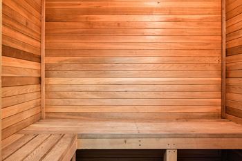Dry sauna
